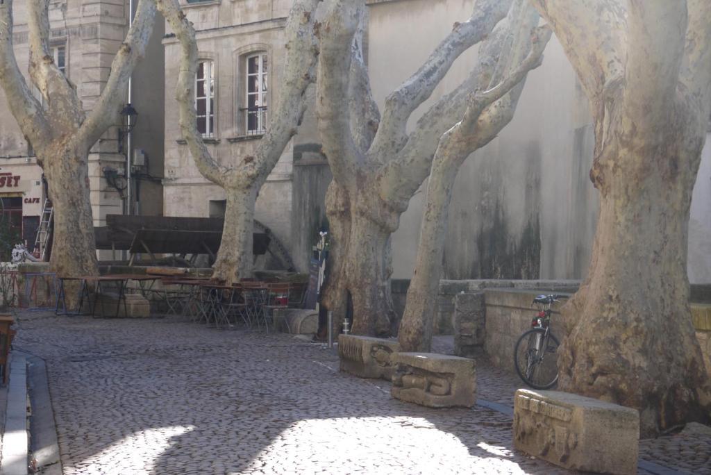 Appartements Des Teinturiers Avignon Eksteriør bilde